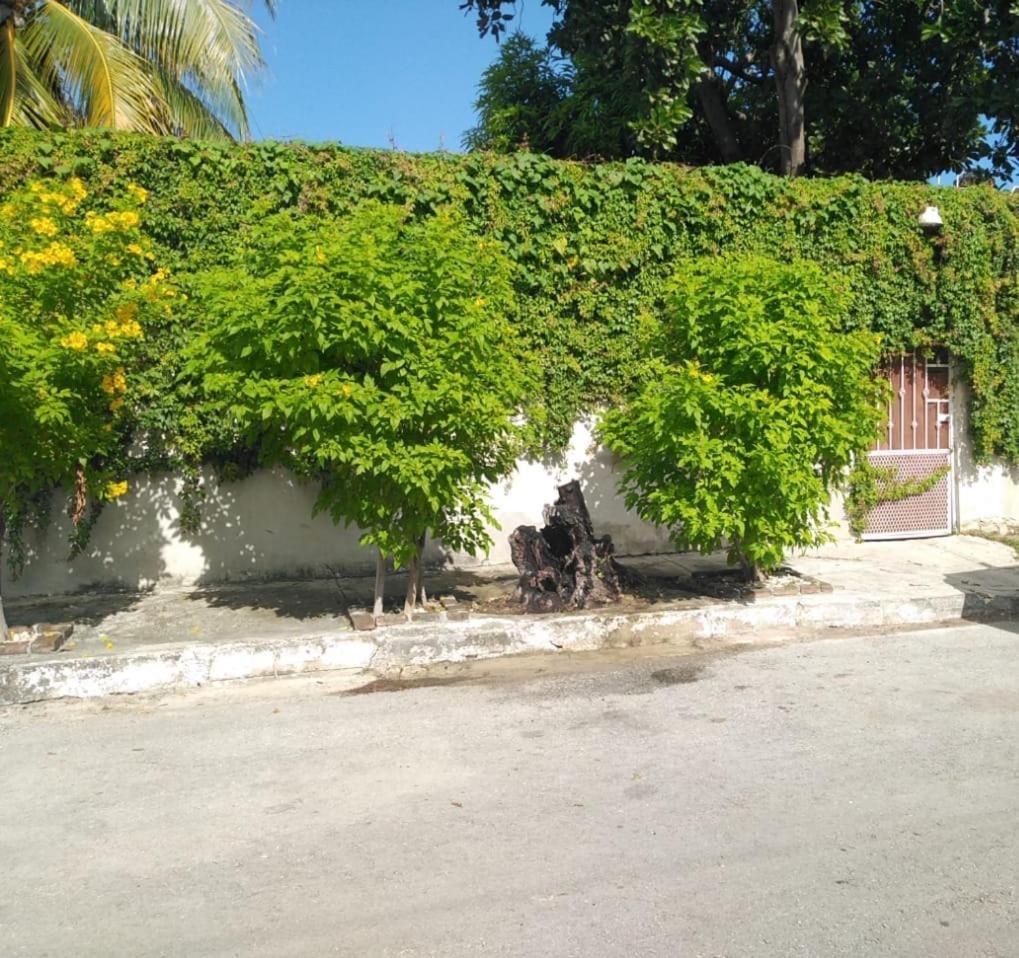 Villa Bonita casa cerca de la playa! Playa del Carmen Exterior foto
